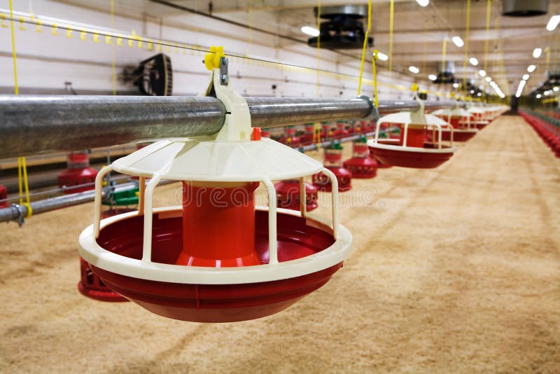 Allevamento zootecnico — ventilazione stalle